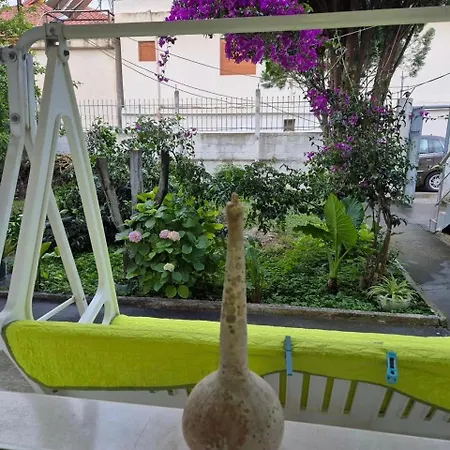 Vlorasea