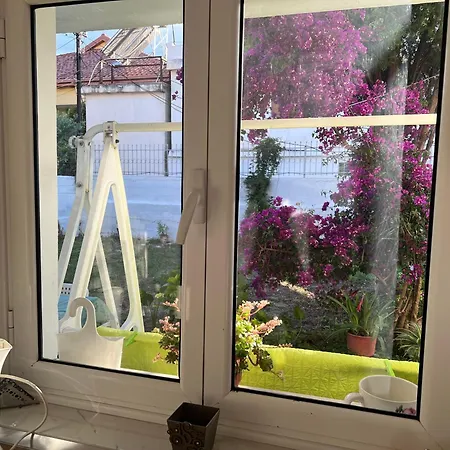 Urbanoasi Terra Casa vacanze Vlorë