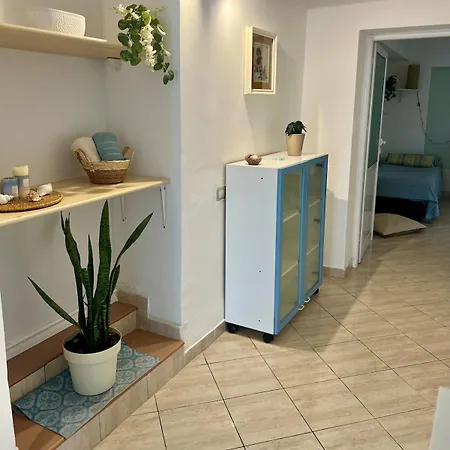 Urbanoasi Terra