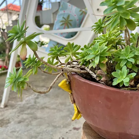 Urbanoasi Terra Casa vacanze