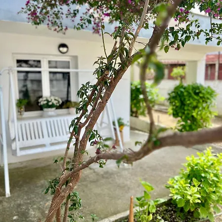 Urbanoasi Terra Vlorë